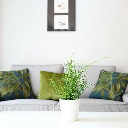 Brunenea By Smiling Apartment Hondarribia
